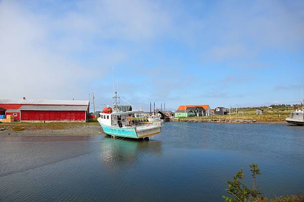 istock Fishing boats at a wharf 499429262