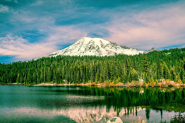 istock Vintage , Mount Rainer in Washington 499431012