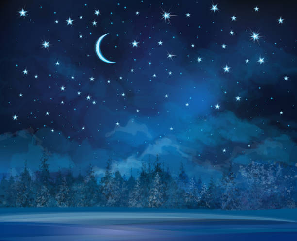 bildbanksillustrationer, clip art samt tecknat material och ikoner med vector night winter scene, sky and forest background. - moon forest