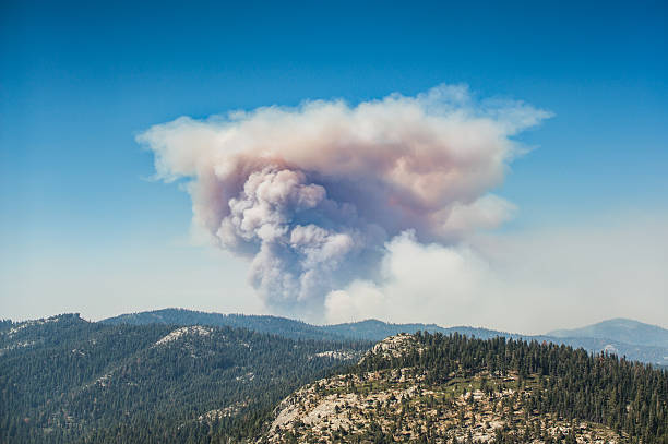A big cloud of smoke is rising over the forest mountains of Kings Canyon National Park