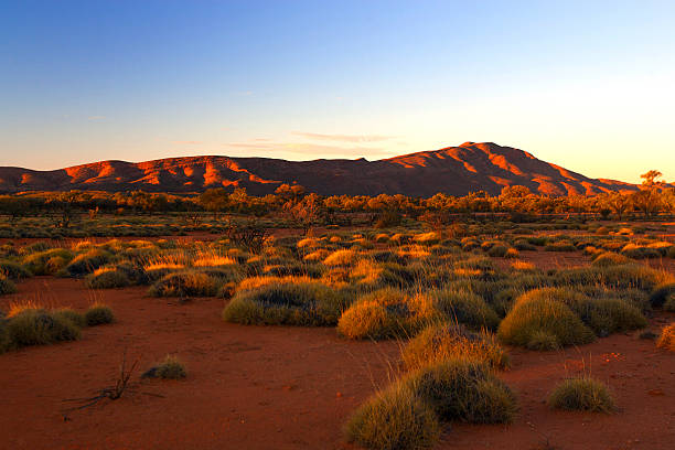 rangos de west mcdonell, territorio septentrional, australia - zona interior de australia fotografías e imágenes de stock