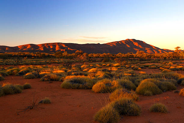 west macdonnell ranges, northern territory, australia - outback desert australia sky foto e immagini stock