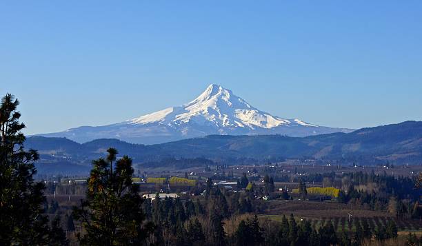 istock Mt. Hood's Sacred Valley 499432734