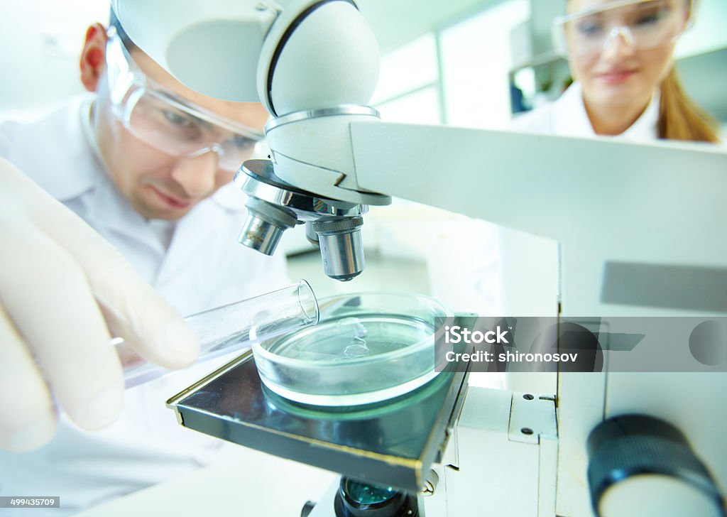 Laboratory research Male clinician studying chemical element in laboratory with his assistant near by Adult Stock Photo