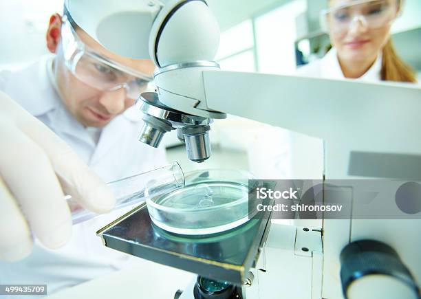 Laboratory Research Stock Photo - Download Image Now - Adult, Analyzing, Biochemistry