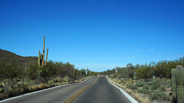istock Road in the dessert 499435835