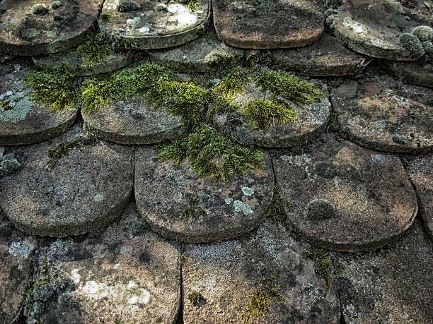 old sherd - ife - fotografias e filmes do acervo