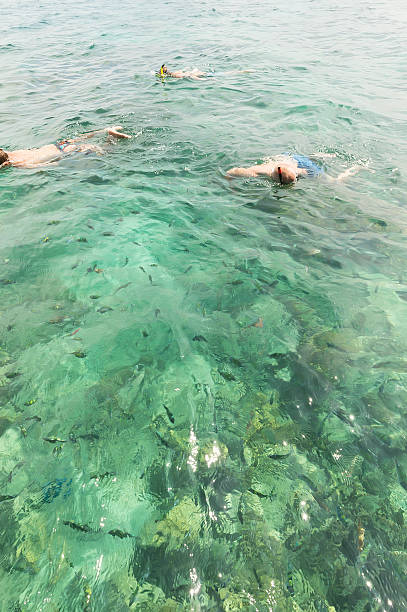 istock young men snorkeling near Maya Bay 499437103