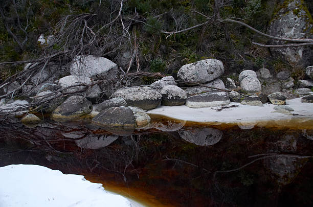 istock Stones in Little Waterloo Bay, Wilsons Promotory 499437851