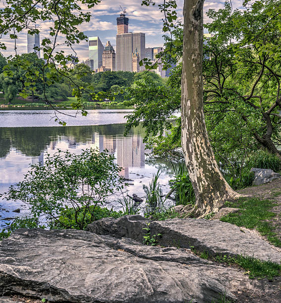 istock Central Park, New York City 499438579