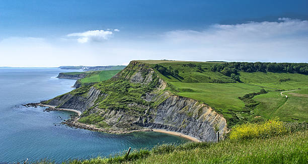 istock Purbeck Coastline landscape 499449833