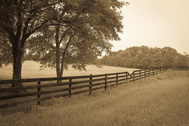 Country Fence stock photo