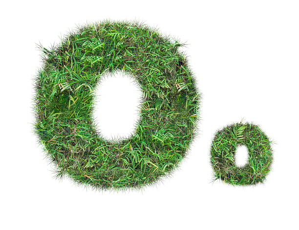 istock letter O on green grass isolated 499451131