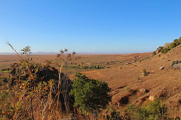 istock Madagascar: Isalo National Park 499453602