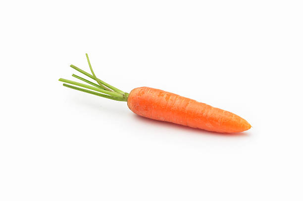 Carrot stock photo