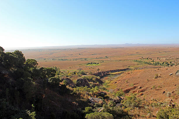 istock Madagascar: Isalo National Park 499454356