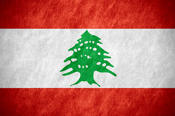 istock flag of Lebanon 499455280
