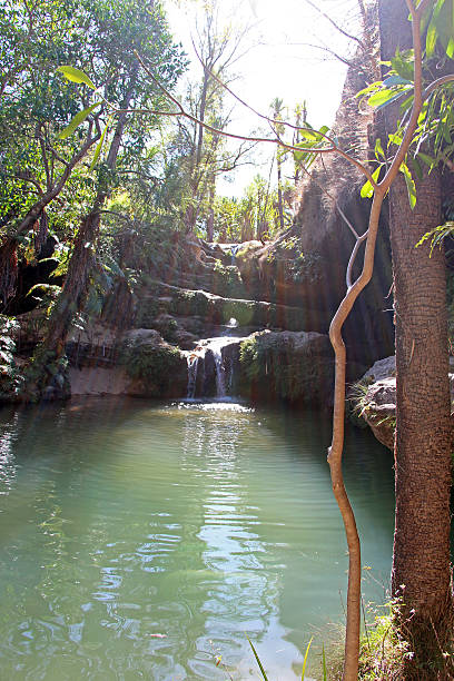 istock Madagascar: Isalo National Park 499455840