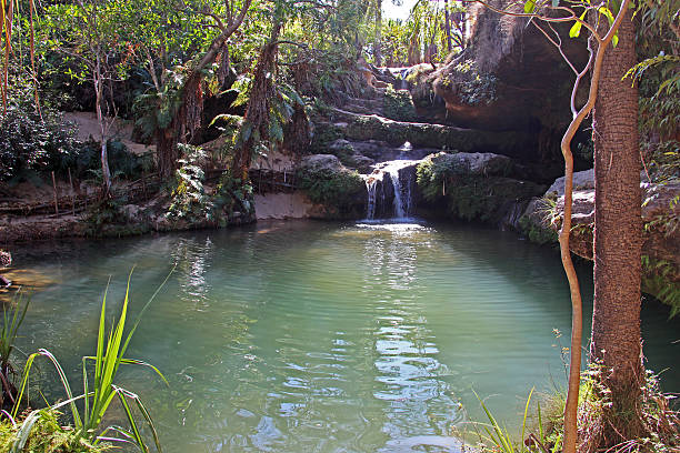 istock Madagascar: Isalo National Park 499455890