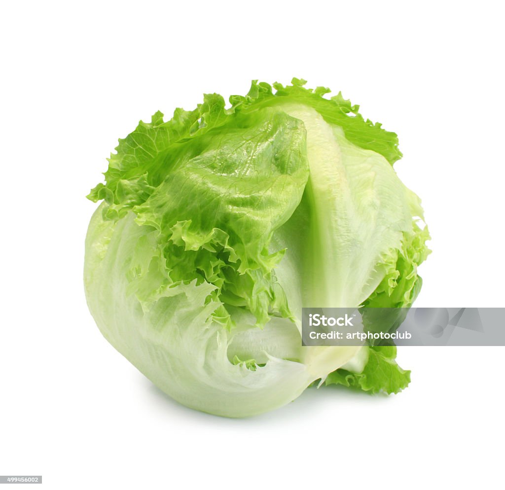 Green Iceberg lettuce on White Background Lettuce Stock Photo