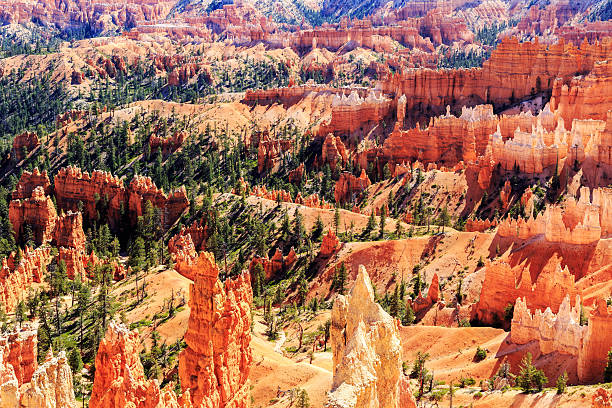 istock hoodoos at sunrise point, Bryce canyon national park 499456440