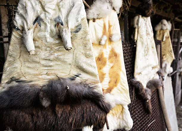 istock Rabbit furs hanging on the hooks in the farm 499458358