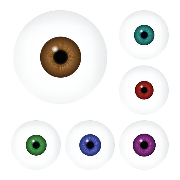 istock Image of realistic human eye ball with colorful pupil, iris. 499460598