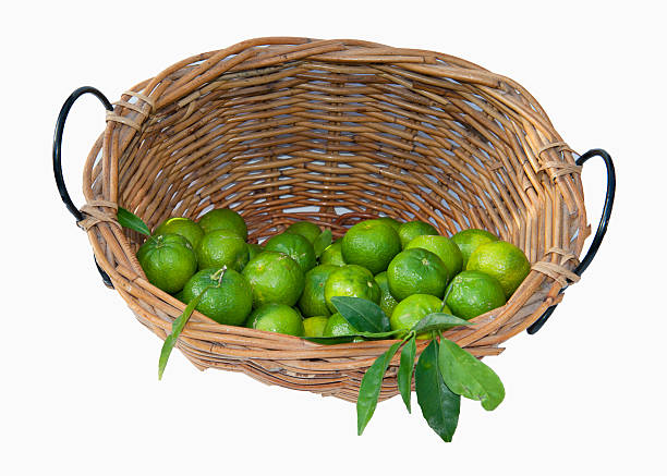 istock Fresh green tangerine in the  basket 499461038