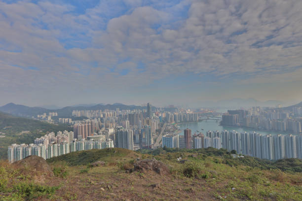istock Downtown Kowloon Hongkong from Tsuen Wan 499461494