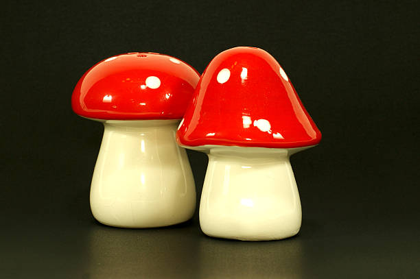 istock Mushroom shaped salt and pepper shakers 499463126