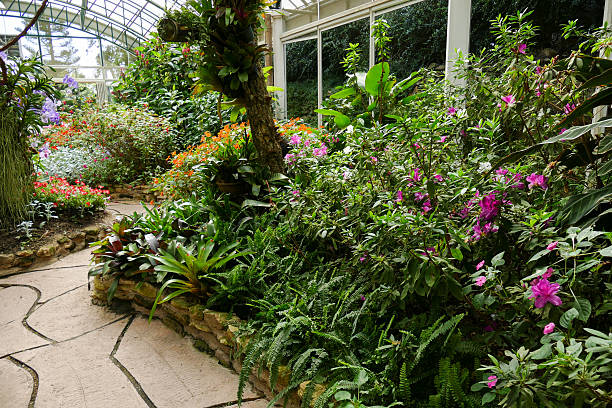 istock walkway and beautiful flower in the garden 499463402