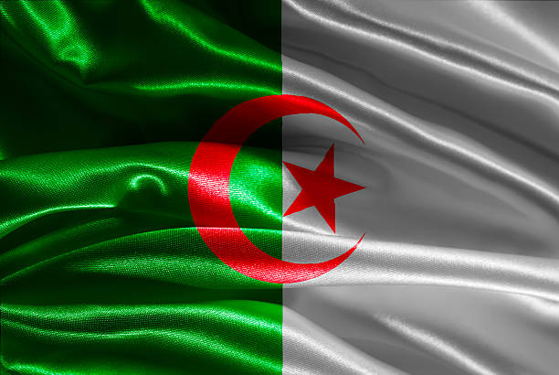istock Flag of Algeria 499463497