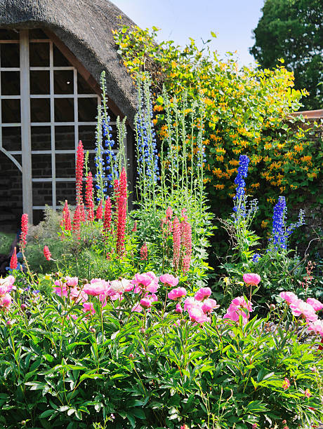 Какие неприхотливые многолетние цветы цветут все лето?