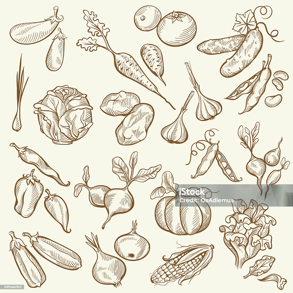 Drawing Colored Vegetables Vintage clipart of vegetables in homemade style. Bean stock vector