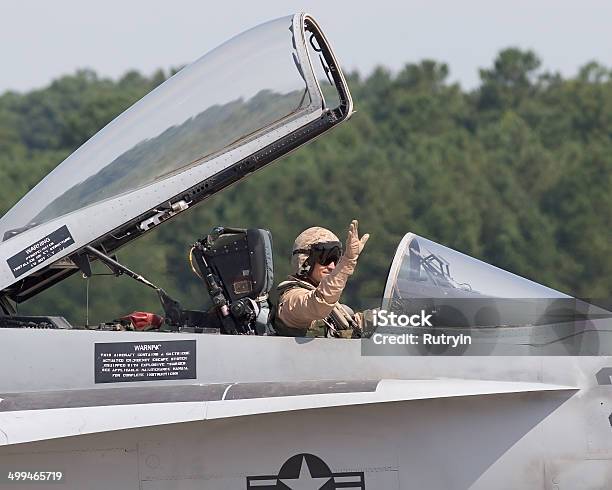 Soldado Vuelve A Casa Foto de stock y más banco de imágenes de Piloto - Piloto, Alegre, Avión