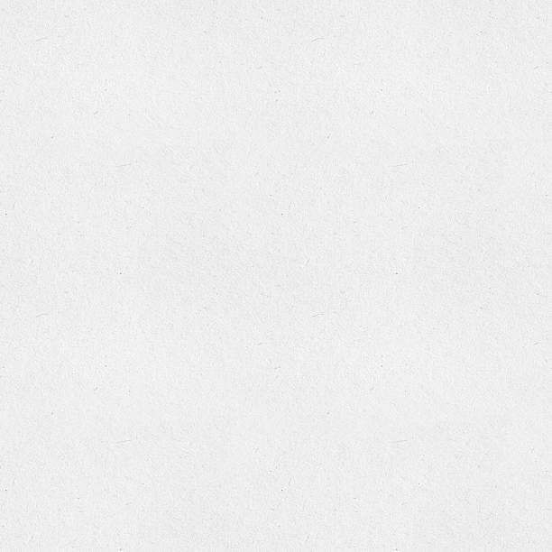 istock high detailed texture of white paper 499466125