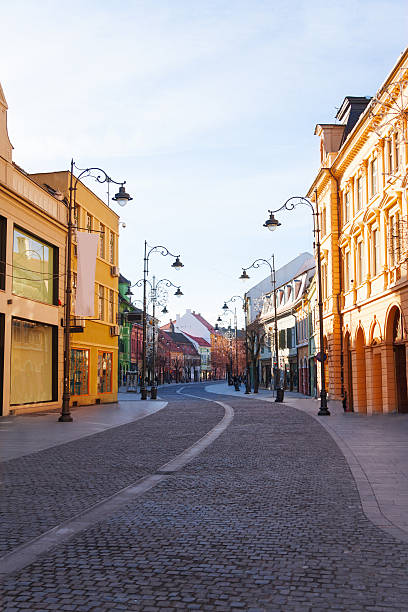 istock Strada Nicolae Balcescu street in Sibiu, Romania 499466643