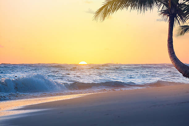 istock Art Beautiful sunrise over the tropical beach 499466915