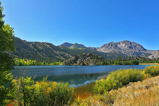 istock Silent Gulllake in the early autumn. 499469433