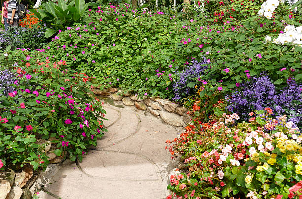 istock walkway and beautiful flower in the garden 499479426