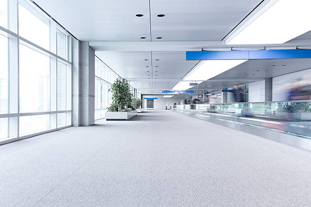 istock Travellers in International Airport 499481116