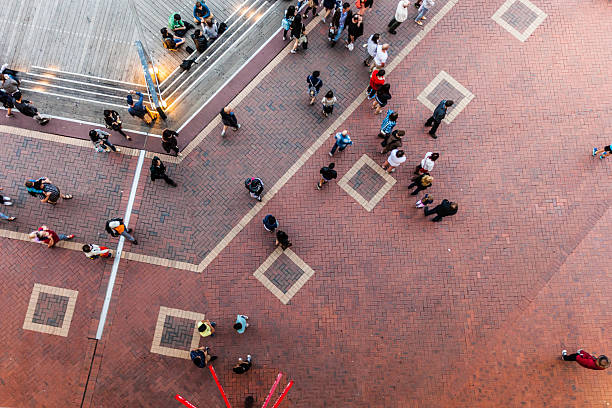 cbd de sydney, darling harbor - sydney harbor - fotografias e filmes do acervo