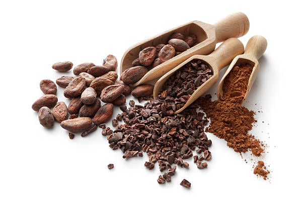 sabor: granos de cacao, nibs y polvo - plumín fotografías e imágenes de stock