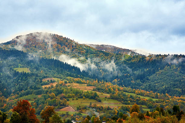 istock Mountain landscape with clouds and colorful trees 499482500