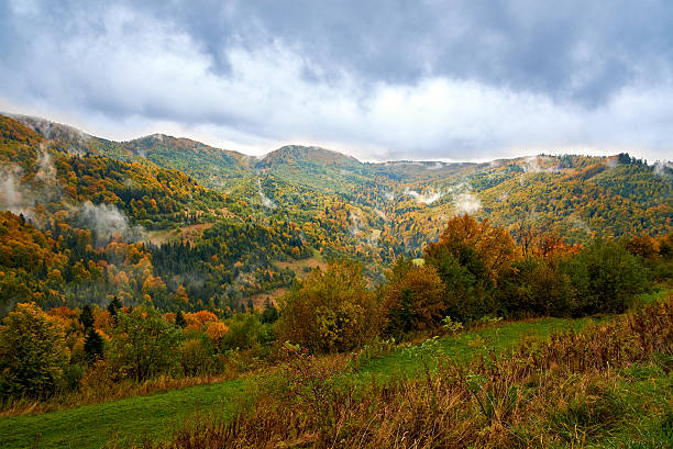istock Mountain landscape with clouds and colorful trees 499482782