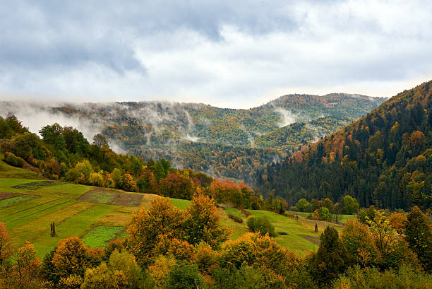 istock Mountain landscape with clouds and colorful trees 499483008