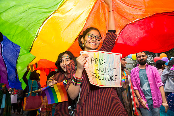 Delhi Queer Pride -2015 New Delhi, India - November 29, 2015: Delhi Queer Pride -2015 transgender protest stock pictures, royalty-free photos & images