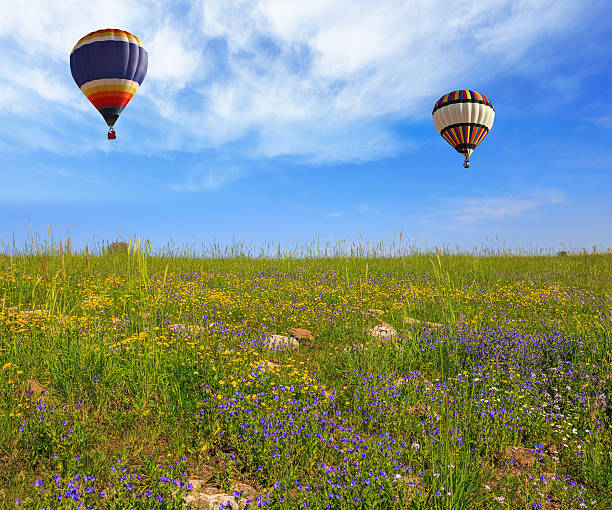 istock Two huge and beautiful balloons 499488516