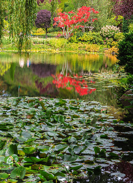 istock The flower gardens on Vancouver Island 499488920