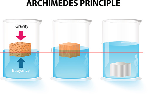 Archimedes principle. The buoyant force acting on an object is equal to the weight of the displaced fluid